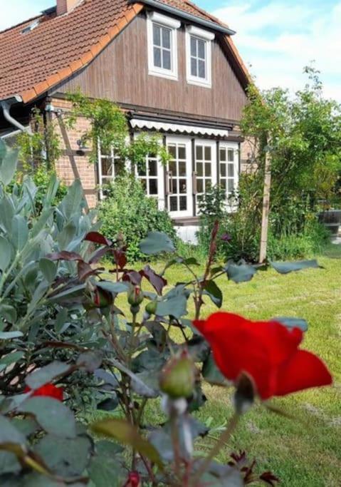 Ferienhaus Gartower See Eksteriør billede
