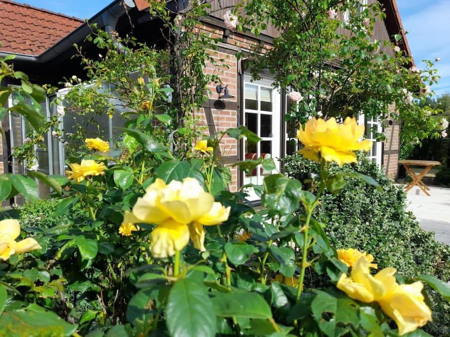 Ferienhaus Gartower See Eksteriør billede